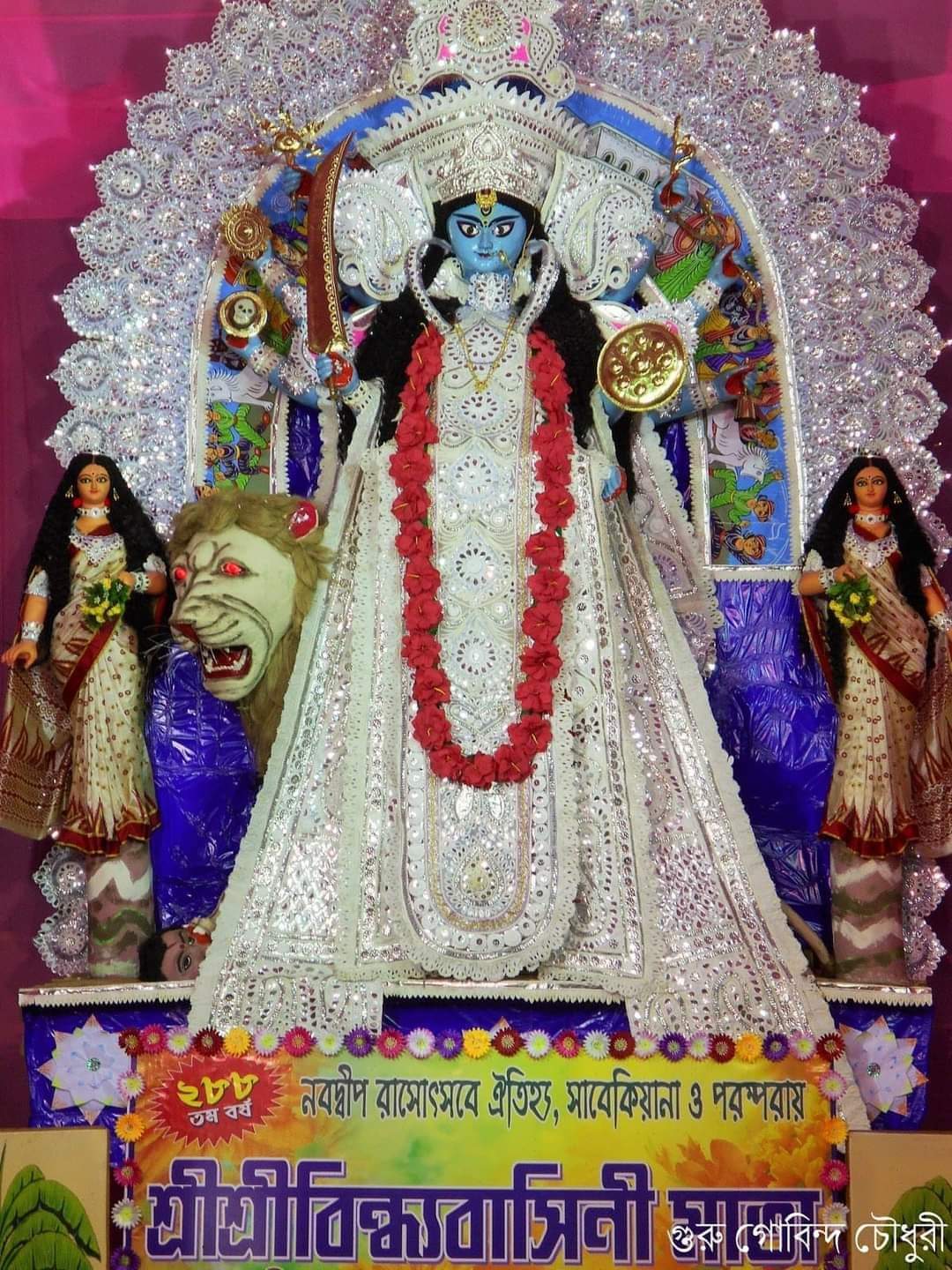 বিন্ধ্য বাসিনী মায়ের জয়