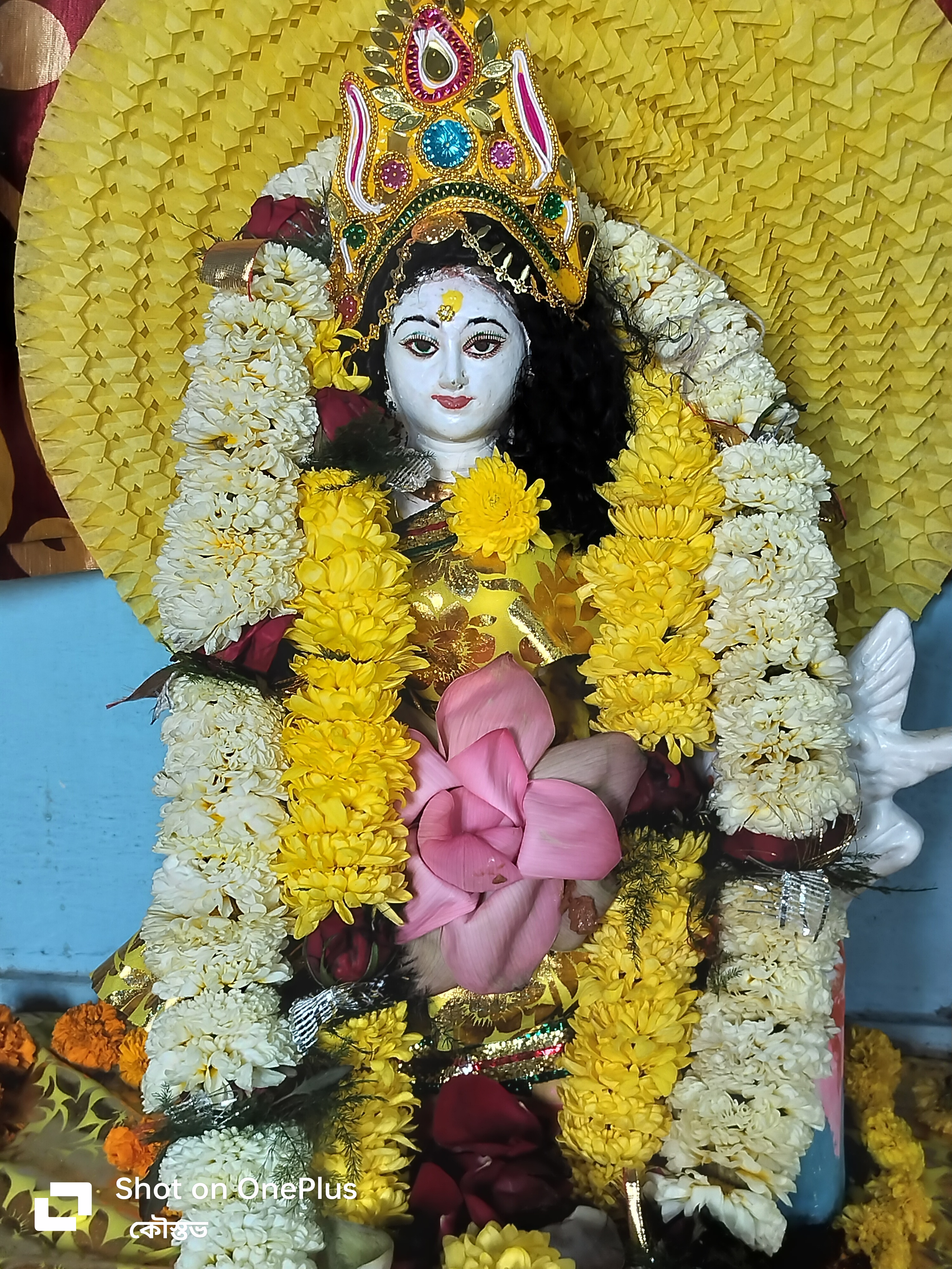 Happy Saraswati Puja